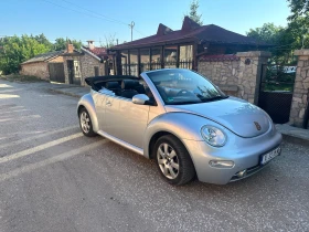 VW Beetle, снимка 3