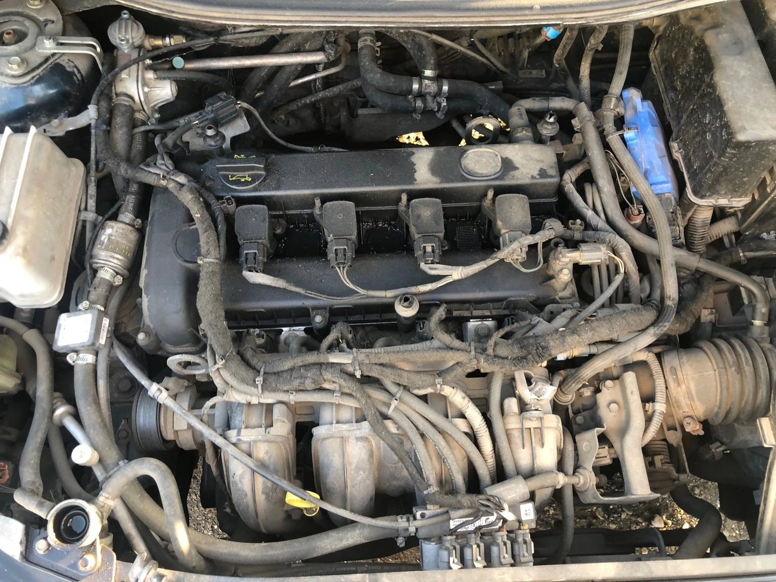 Mazda 5 2.0 i  2.0 d | Mobile.bg   16