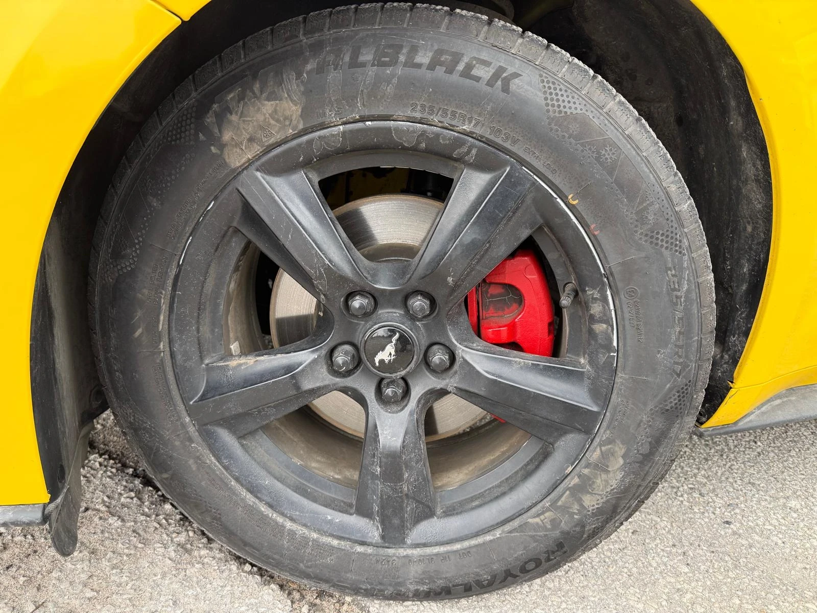 Ford Mustang CAR FAX * ���� ������ * ���� �� �� *  | Mobile.bg � ����������� 13