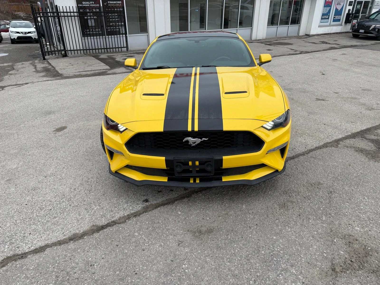 Ford Mustang CAR FAX * ���� ������ * ���� �� �� *  | Mobile.bg � ����������� 5