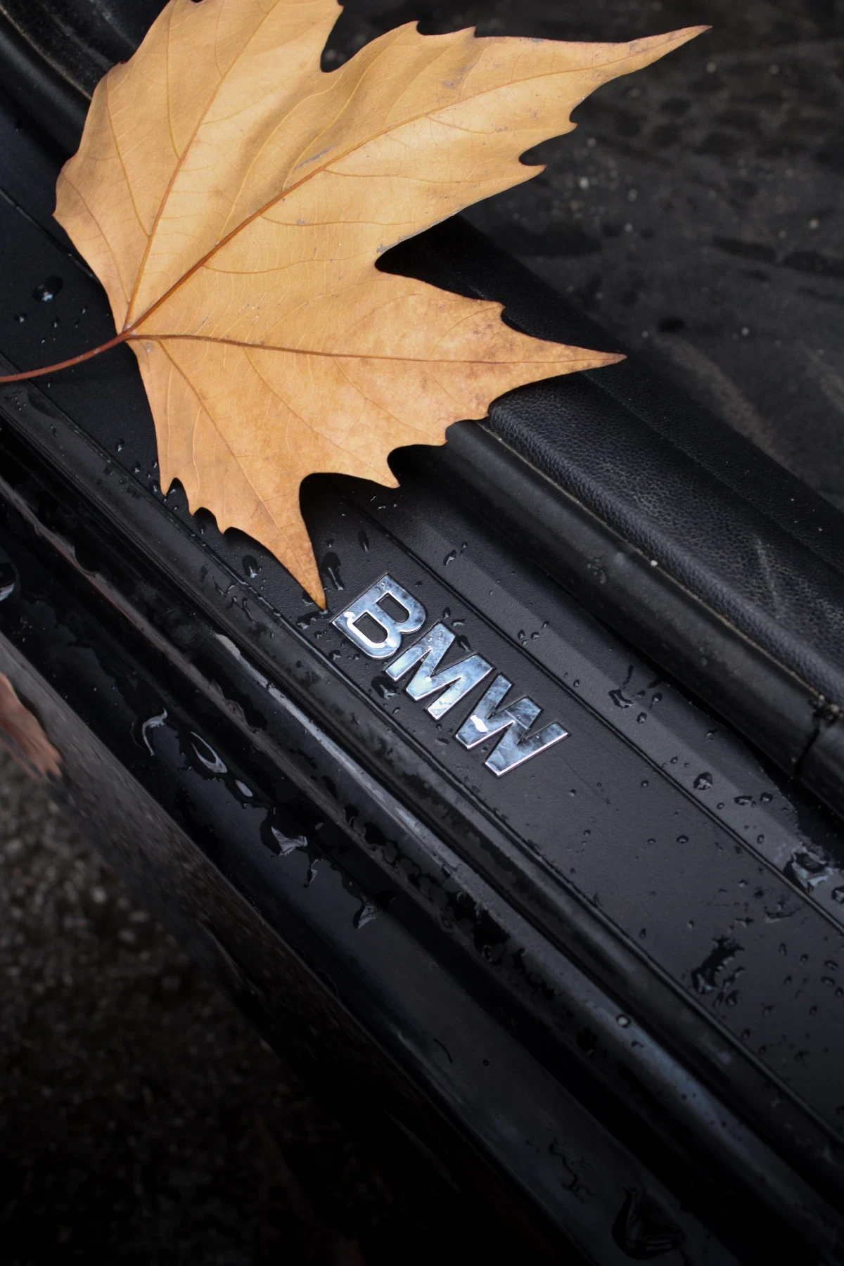 BMW 320 | Mobile.bg � ����������� 11