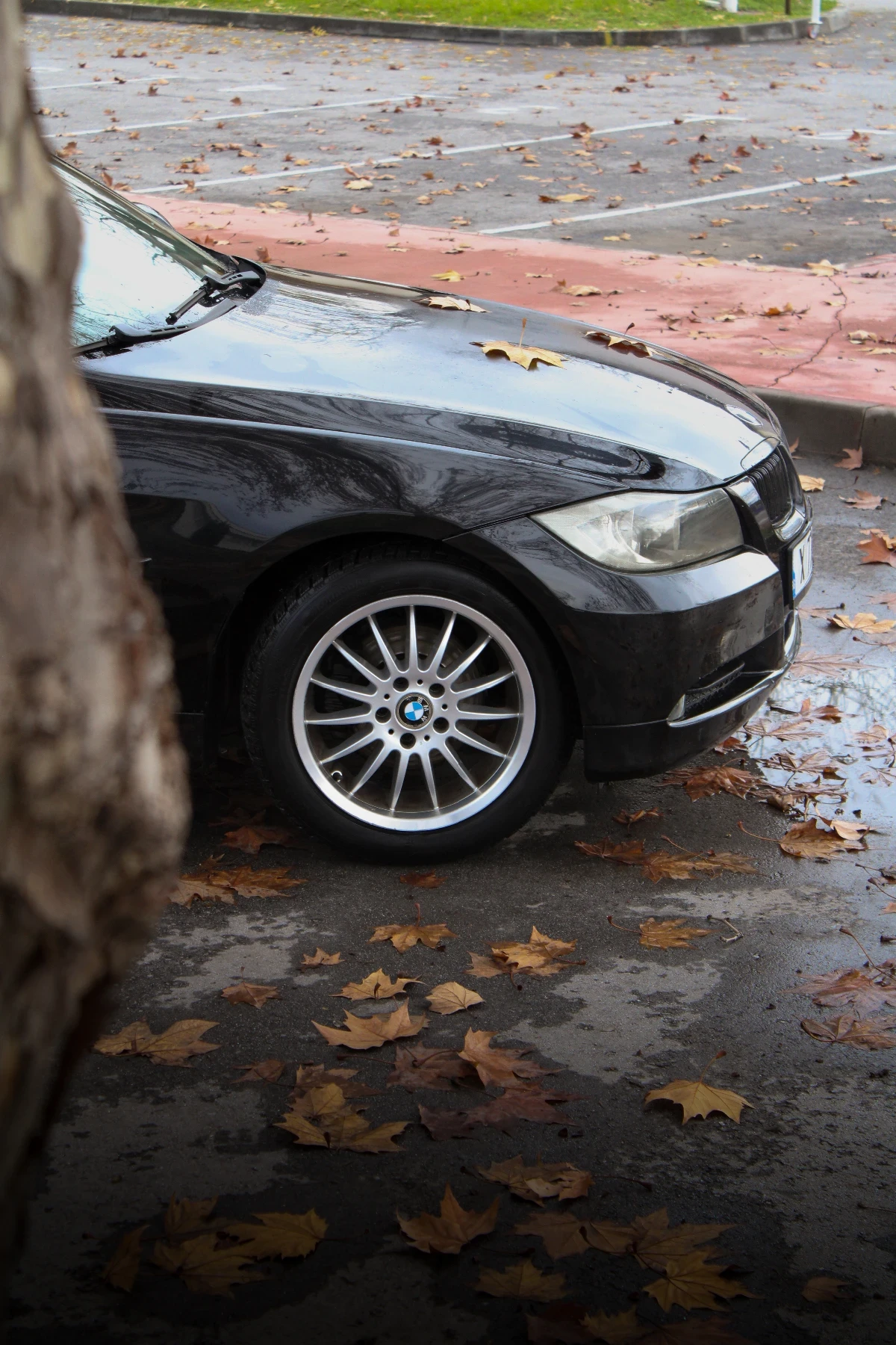 BMW 320 | Mobile.bg � ����������� 5