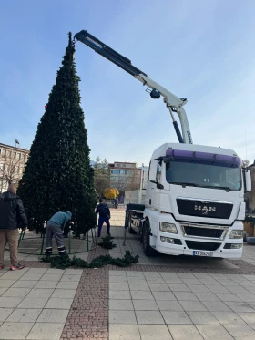 Man Tgx 26480 | Mobile.bg    6