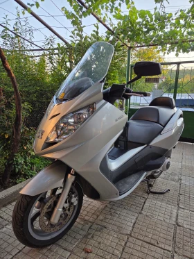 Peugeot Satelis 250 - изображение 1