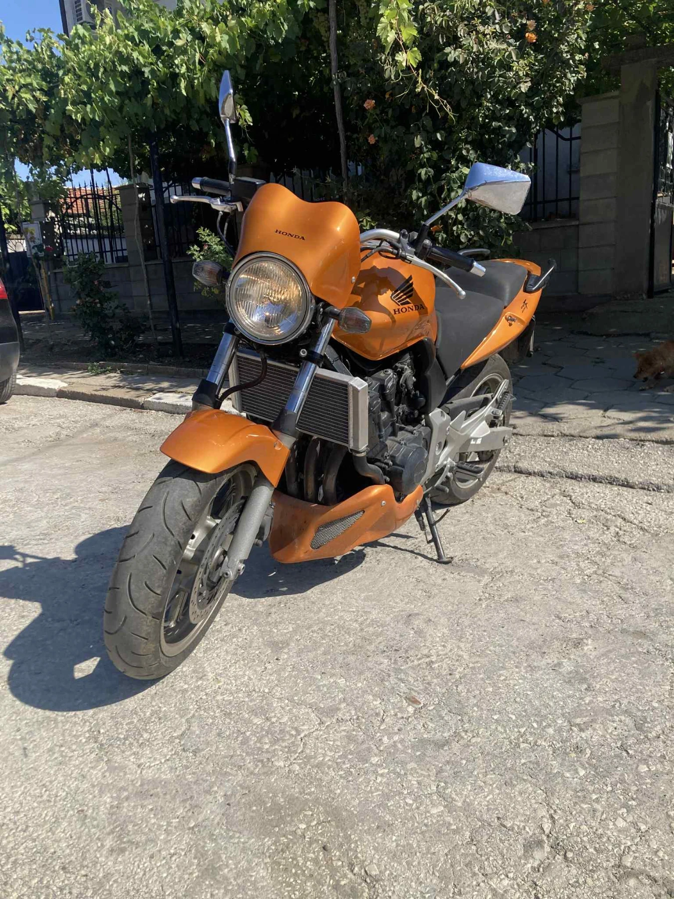 Honda Cbf 600 - изображение 6