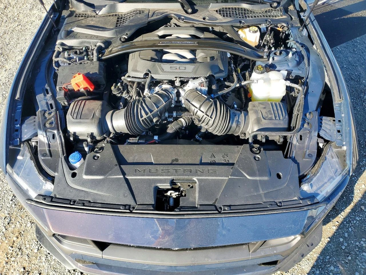 Ford Mustang 5.0l Dark Horse, снимка 11 - Автомобили и джипове - 53850600