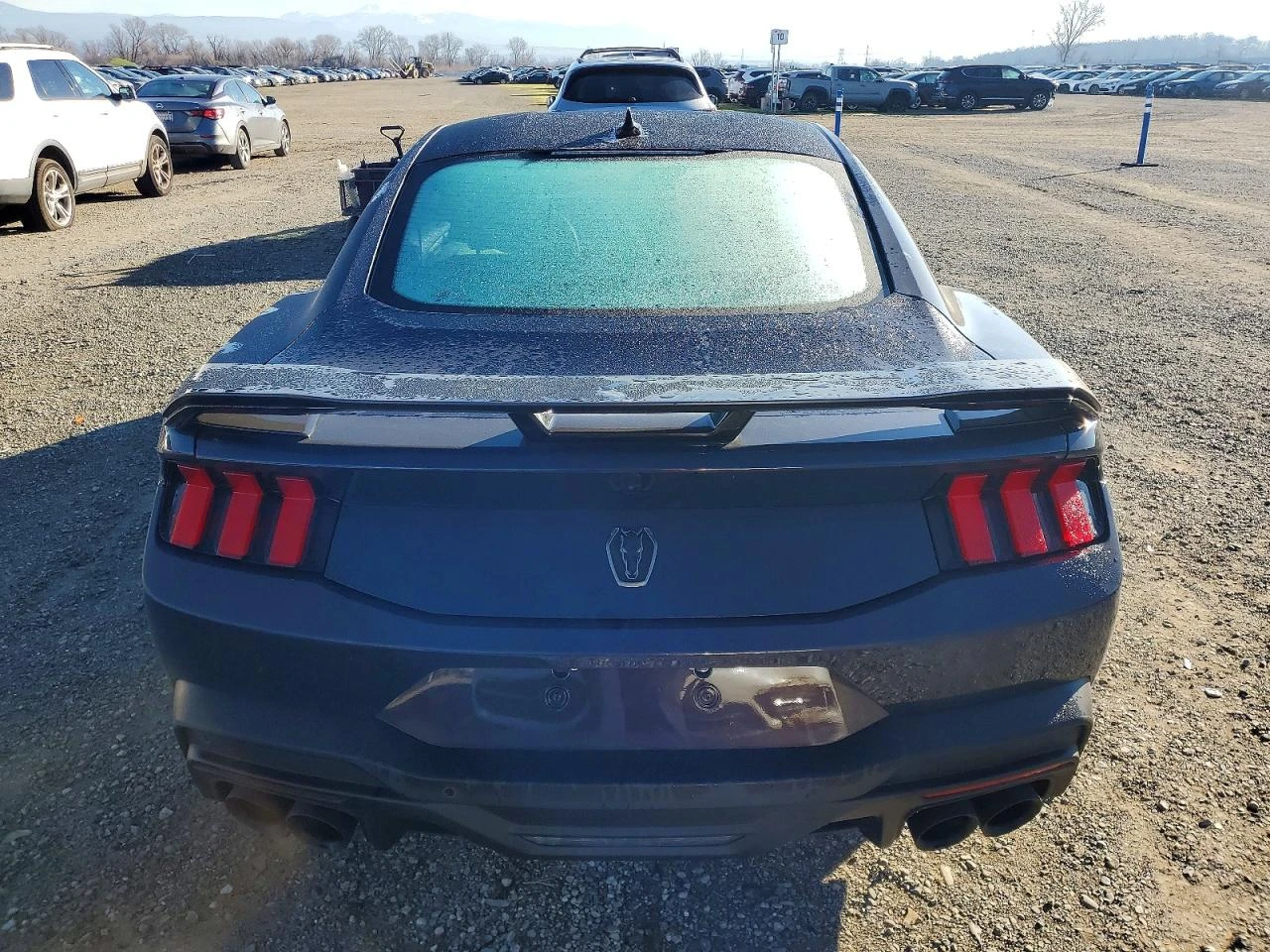 Ford Mustang 5.0l Dark Horse, снимка 6 - Автомобили и джипове - 53850600