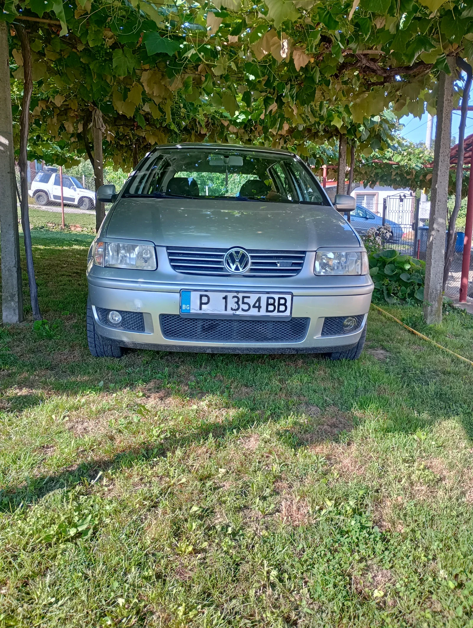 VW Polo