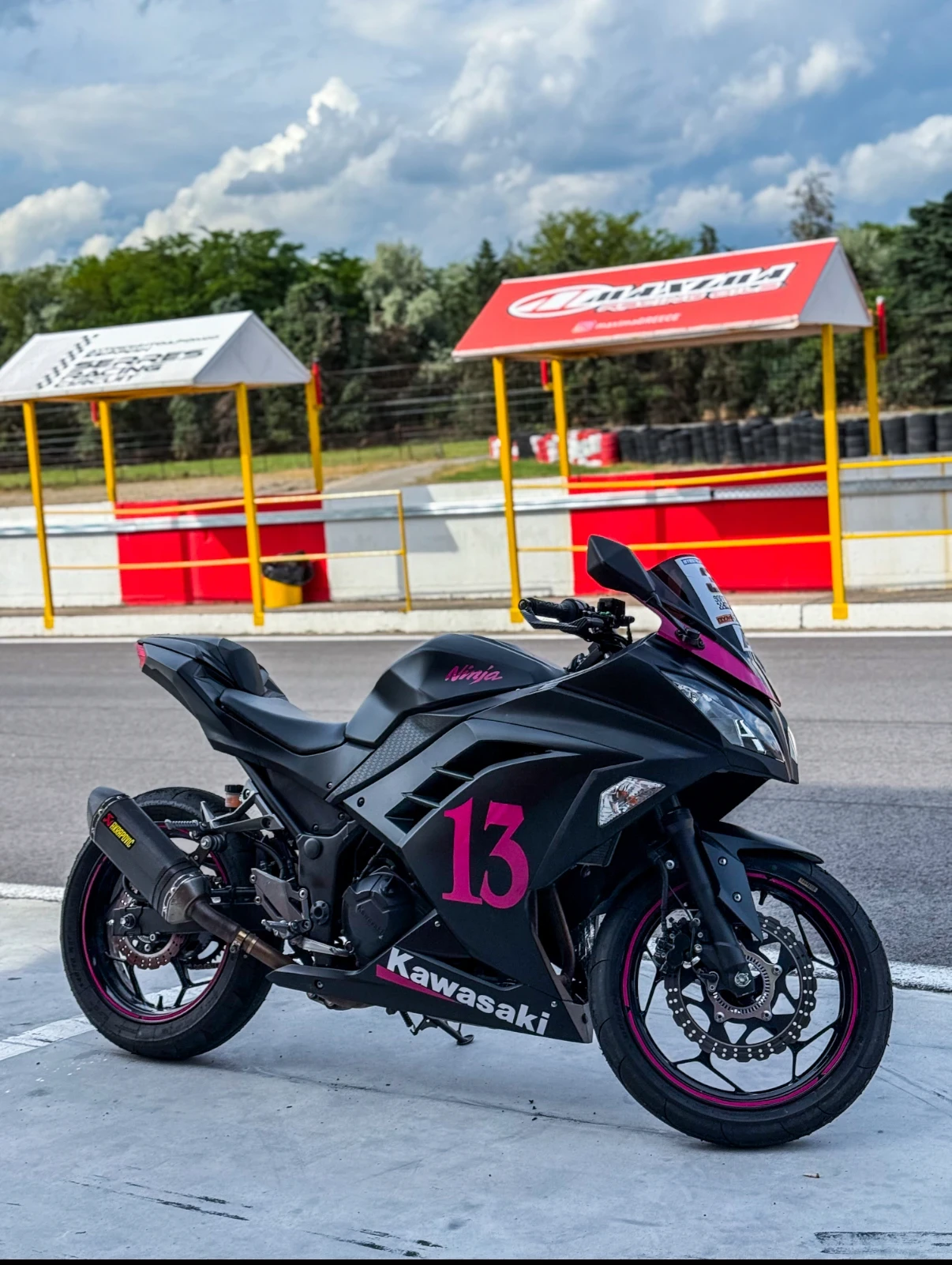 Kawasaki Ninja, снимка 1