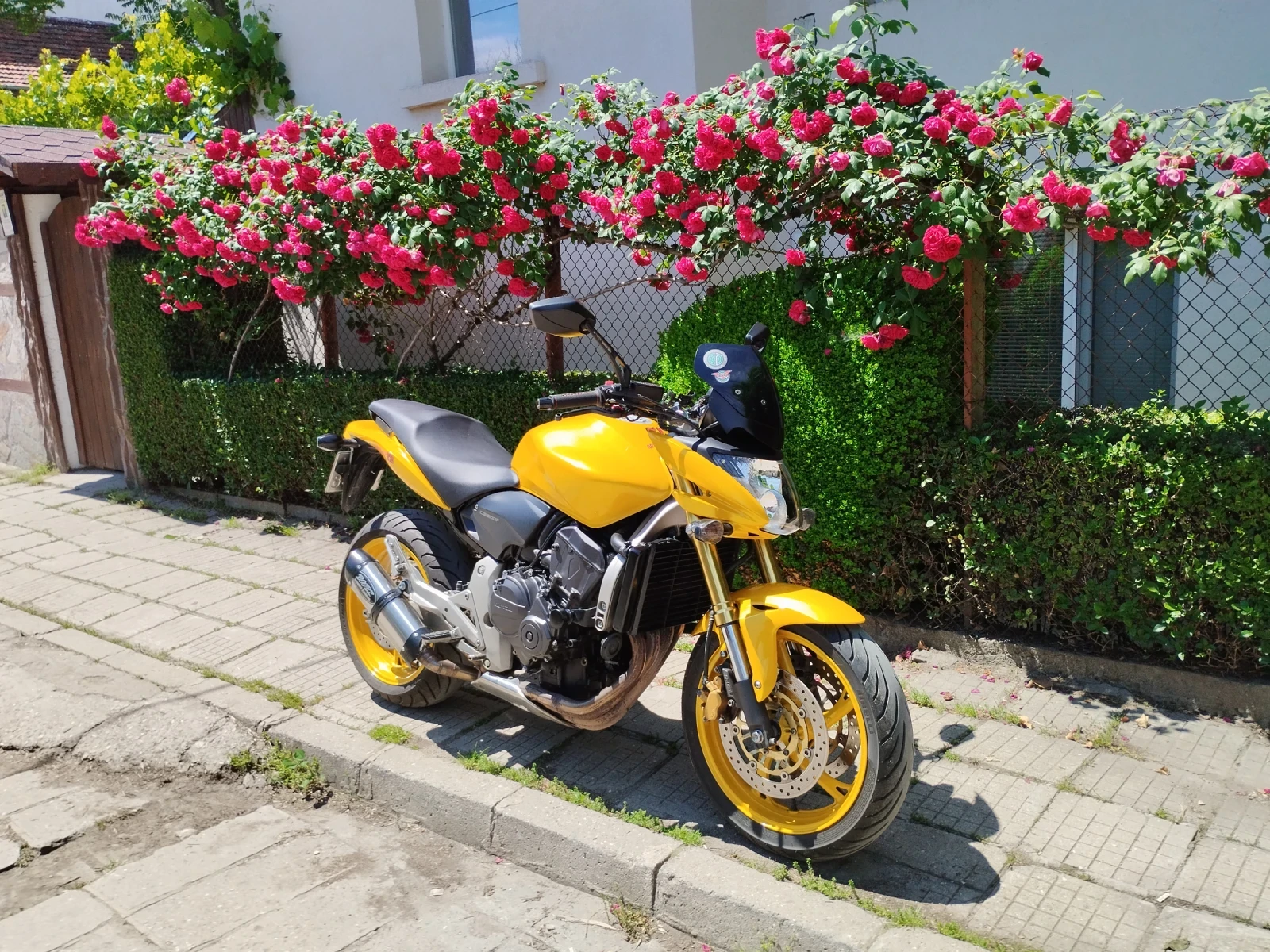 Honda Hornet, снимка 1