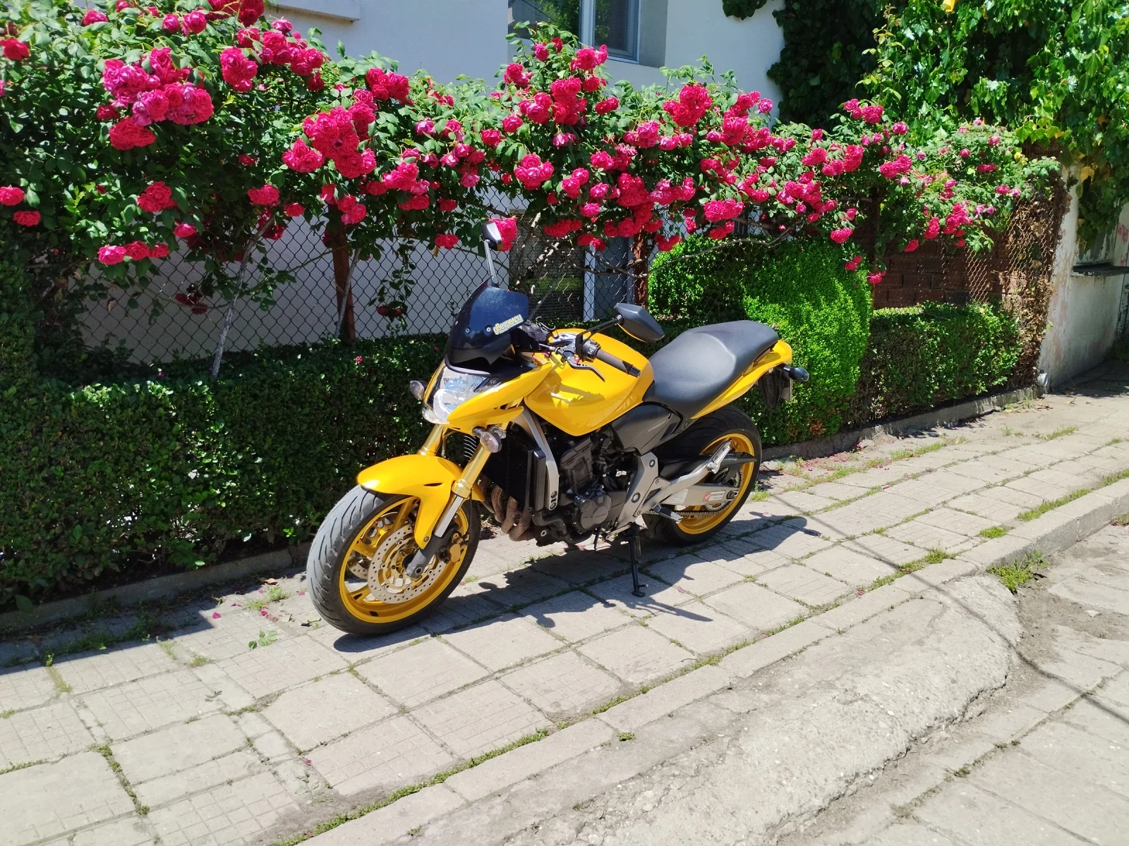 Honda Hornet  - изображение 3