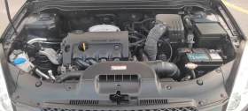 Kia Ceed 1.6i БЕНЗИН - 7300 лв. - 69354799 9