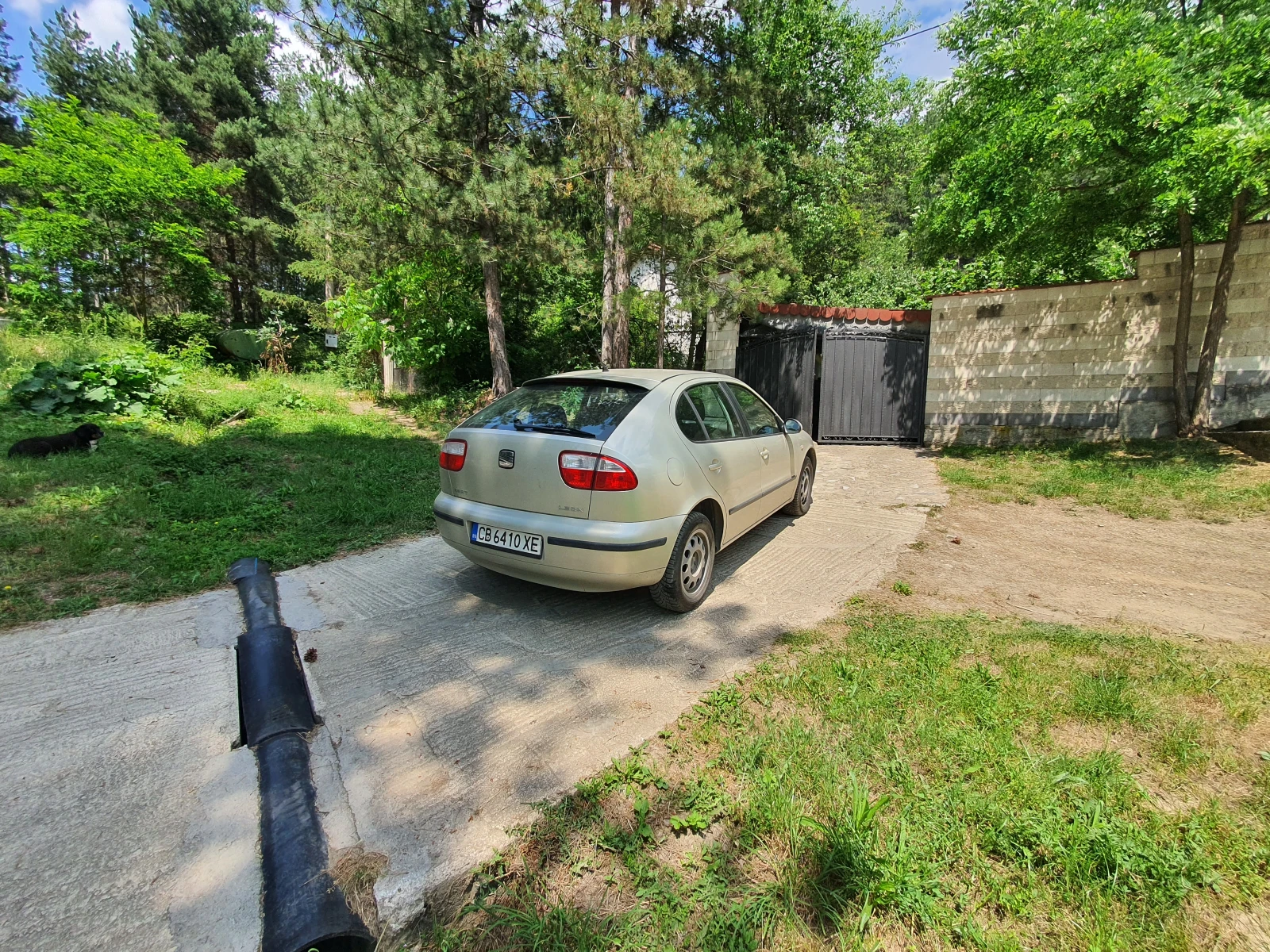 Seat Leon  - изображение 6