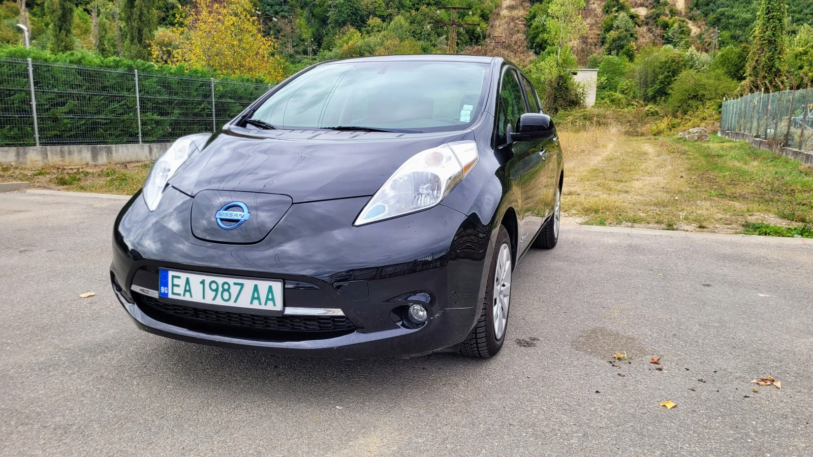 Nissan Leaf 