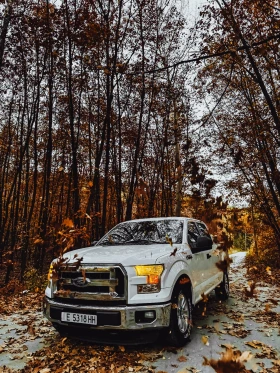 Ford F150 F150 5.0 V8, снимка 8