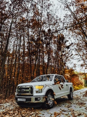 Ford F150 F150 5.0 V8, снимка 7