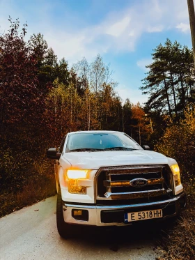 Ford F150 F150 5.0 V8, снимка 4