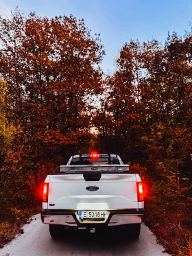 Ford F150 F150 5.0 V8, снимка 5