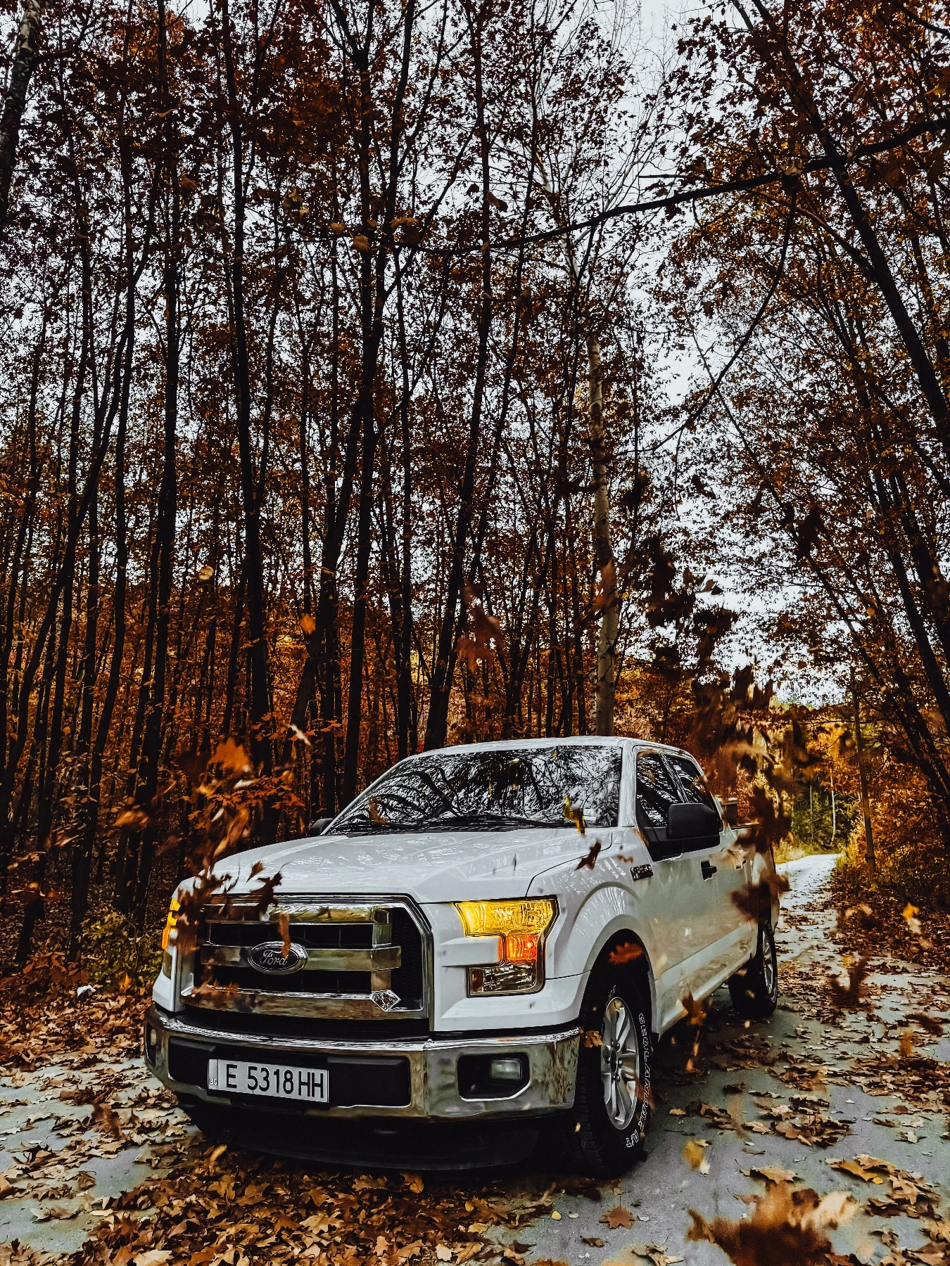 Ford F150 F150 5.0 V8, снимка 8 - Автомобили и джипове - 54039114