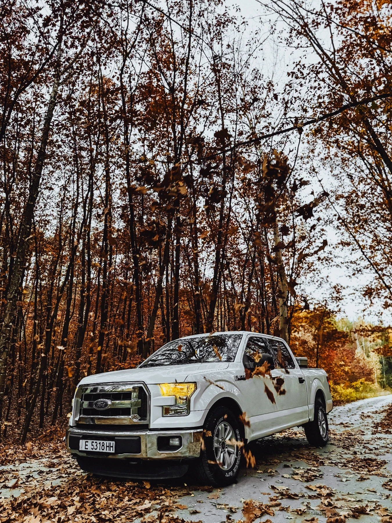 Ford F150 F150 5.0 V8, снимка 7 - Автомобили и джипове - 54039114