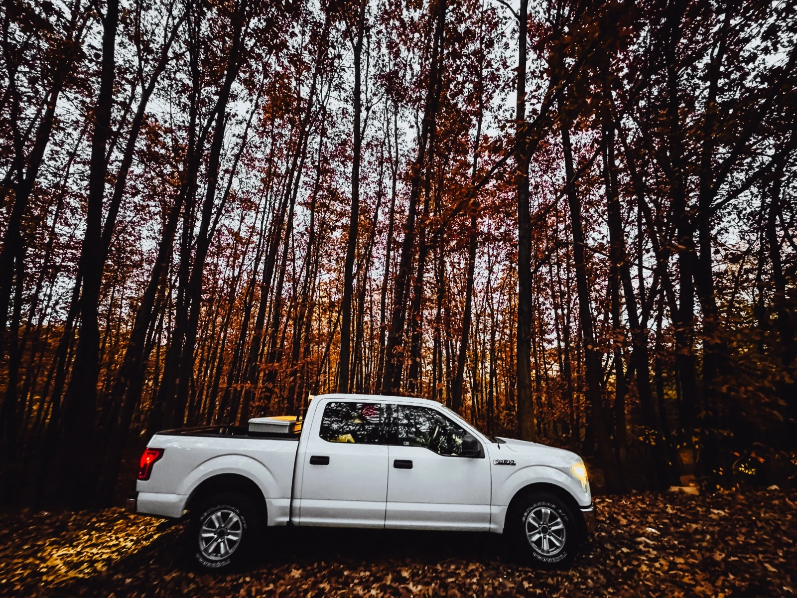 Ford F150 F150 5.0 V8, снимка 3 - Автомобили и джипове - 54039114