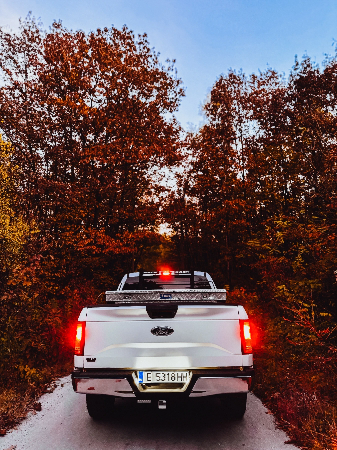 Ford F150 F150 5.0 V8, снимка 5 - Автомобили и джипове - 54039114