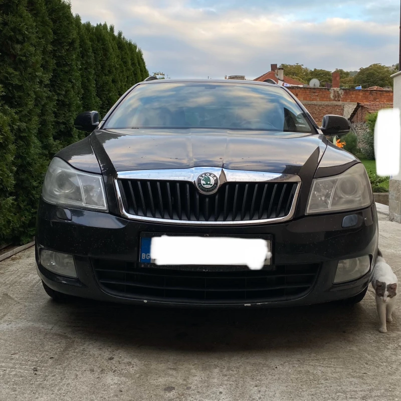 Skoda Octavia 1.6 TDI , снимка 4 - Автомобили и джипове - 52080110