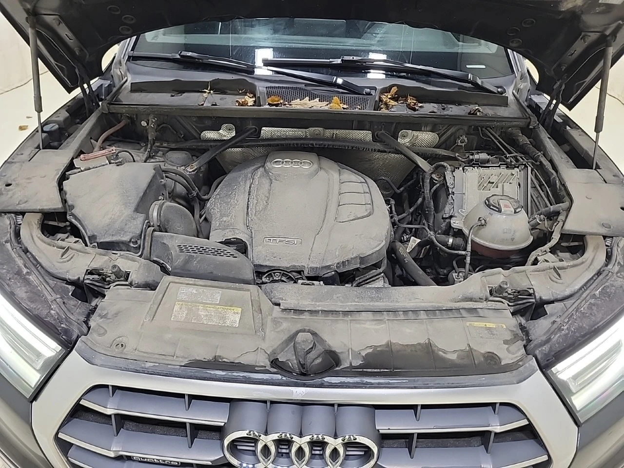 Audi Q5 * ���� ������* ���� �� �� * �������� ������� *  | Mobile.bg � ����������� 16